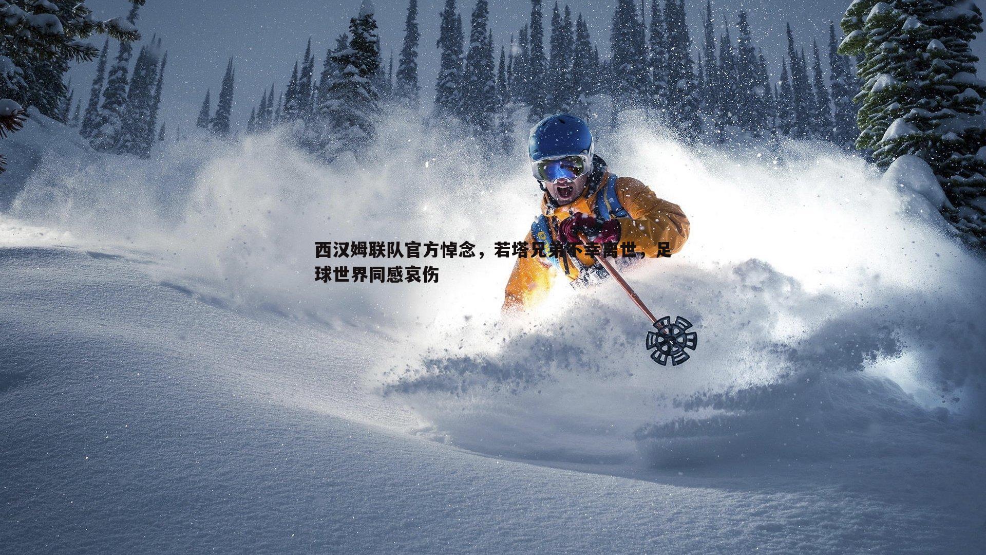 B体育-西汉姆联队官方悼念，若塔兄弟不幸离世，足球世界同感哀伤