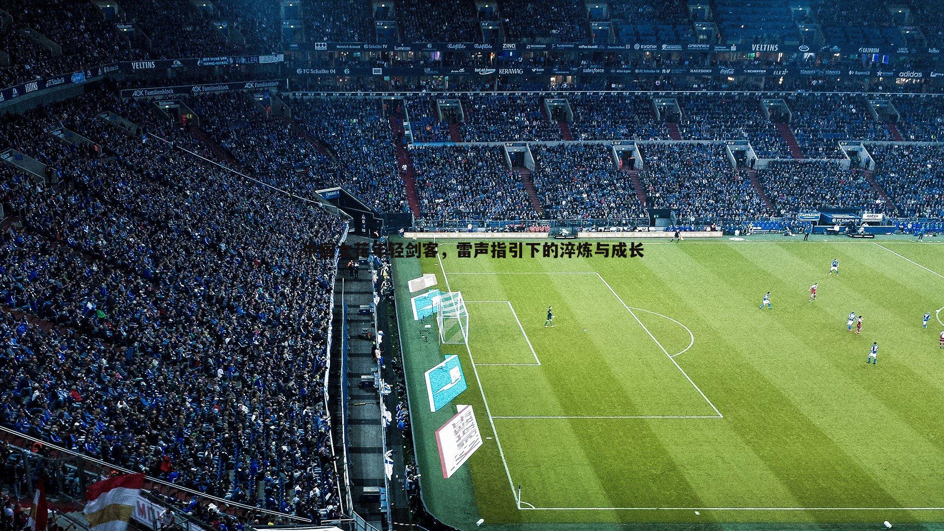 中国女花年轻剑客,雷声指引下的淬炼与成长