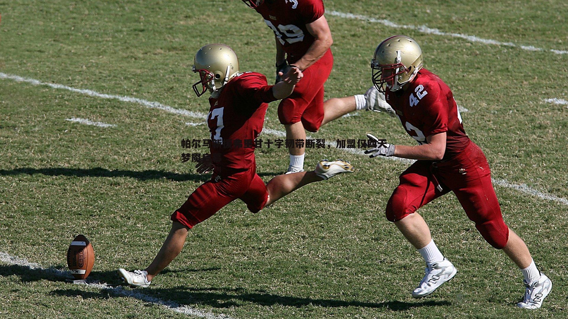 帕尔马新援弗里甘十字韧带断裂，加盟仅四天梦魇启幕